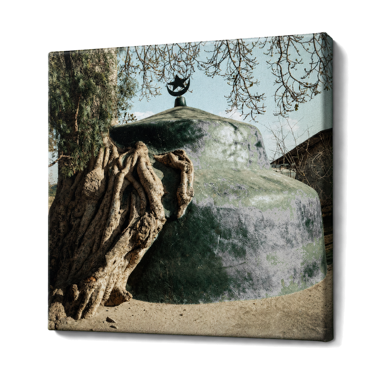 Arbre et mausolée